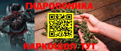 соль ск Партизанск