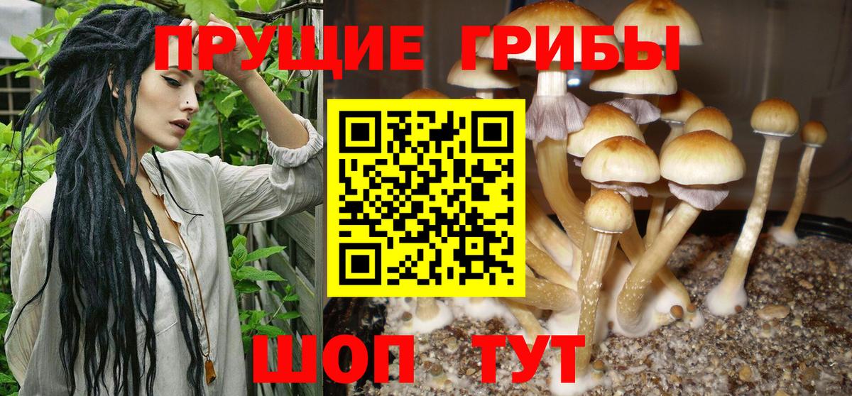 Галлюциногенные грибы ЛСД  Галлюциногенные грибы прущие грибы  Вход с VPN  Таганрог 