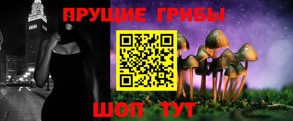 Псилоцибиновые грибы Cubensis Таганрог